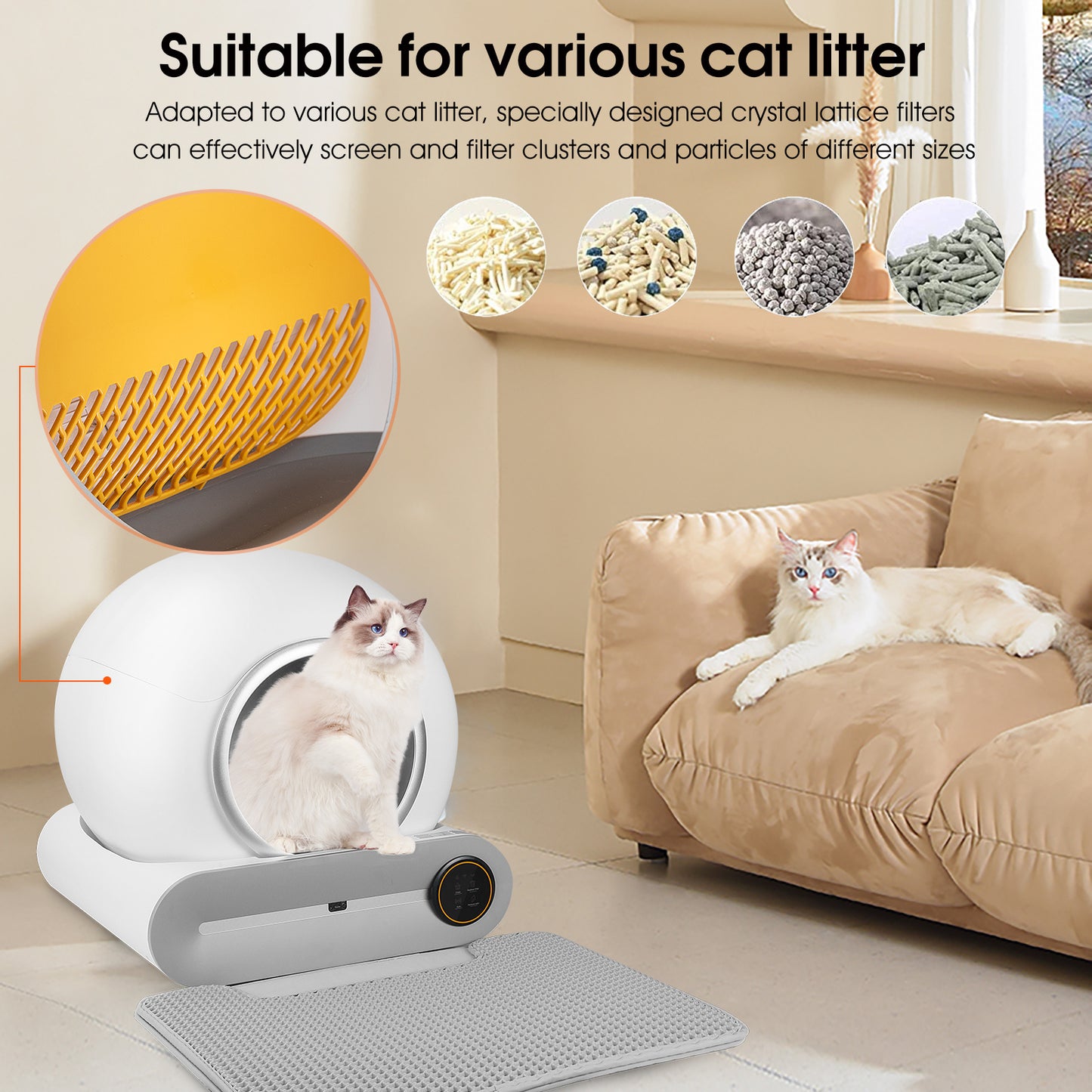Self-Cleaning Litter Box